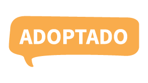 Adoptado