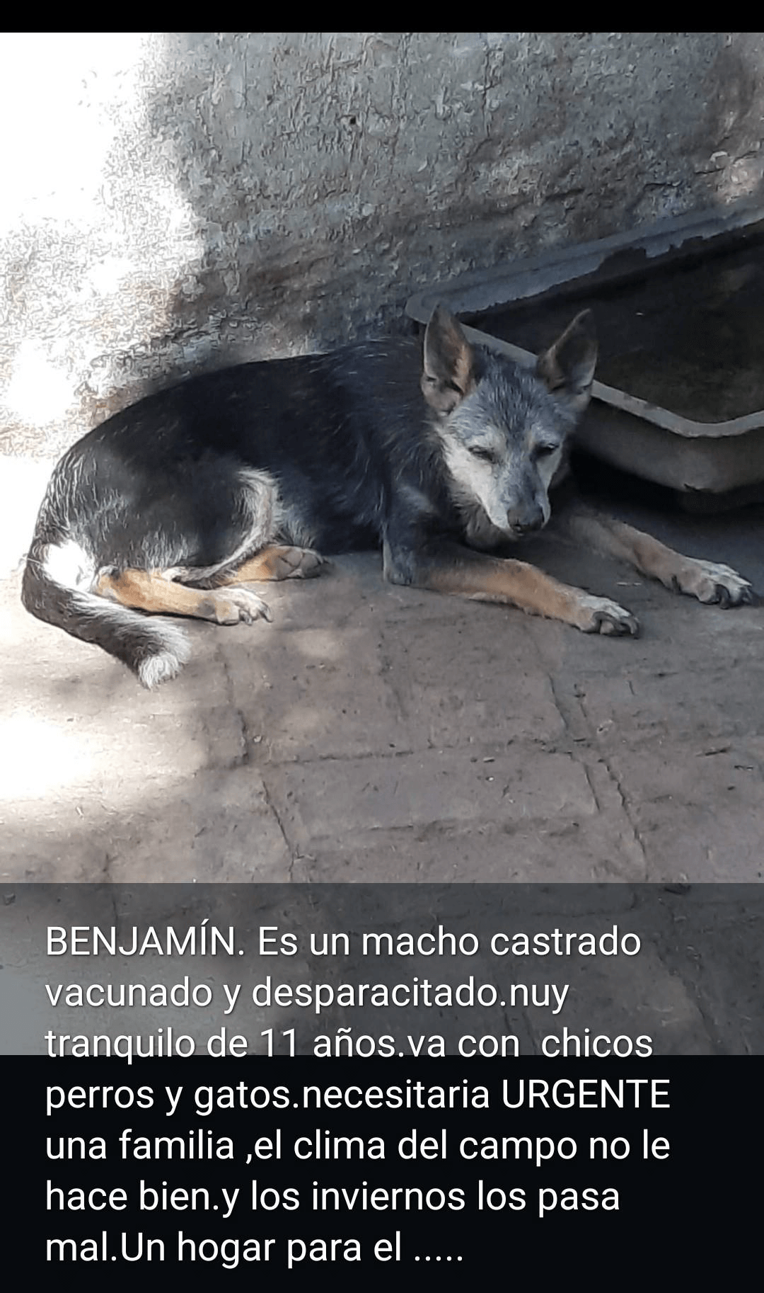 Benjamín