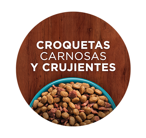 purina-one-dry-cat-beneficio-2.png