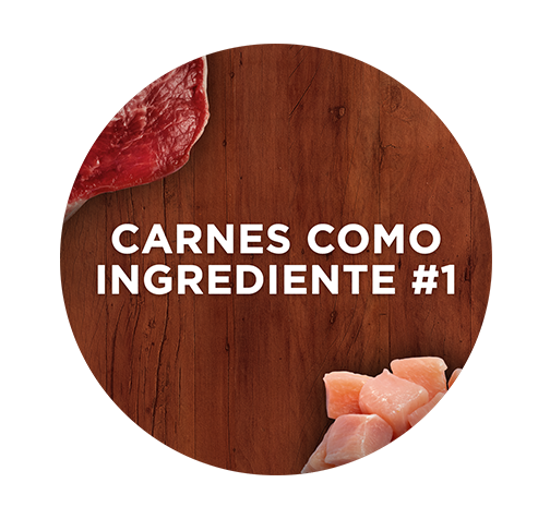 Alimento para perros Purina One con carnes como ingrediente principal.