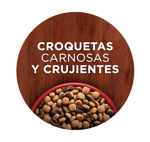 Croquetas para perro Purina One, carnosas y crujientes, que potencia la energía y la salud de tu perro.