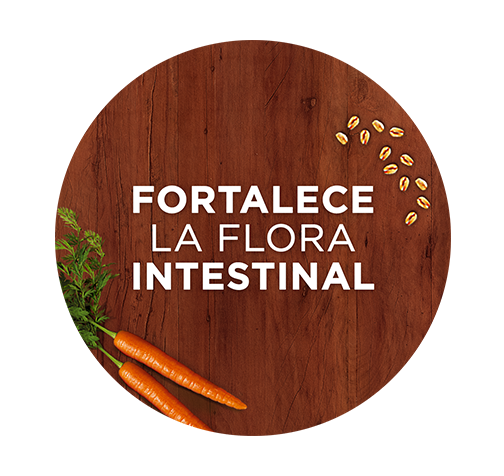 Purina One fortalece la flora intestinal de los perros para una salud digestiva óptima 