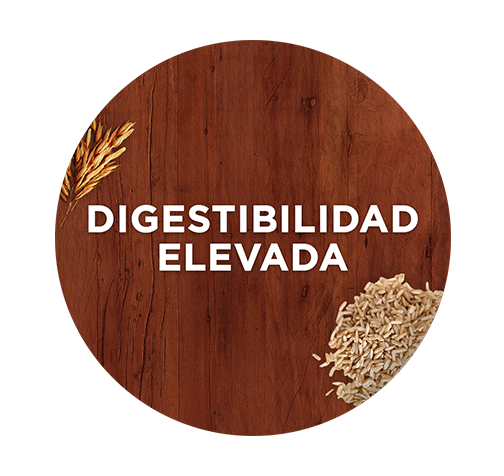 Purina One es alimento con ingredientes para una digestabilidad elevada.