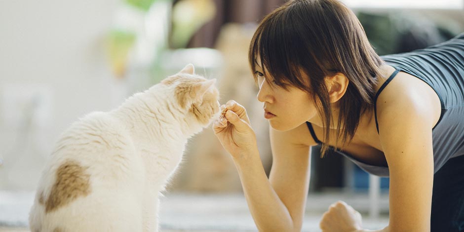 Tutora junto a su mascota color blanco, dandole un premio para gatos.