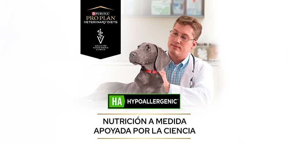 Banner de PRO PLAN® hidrolizado, alimento adecuado para prevenir la gastroenteritis en perros.