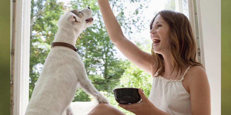 ¿Los perros pueden frutillas? Tutora dando fruta a su mascota