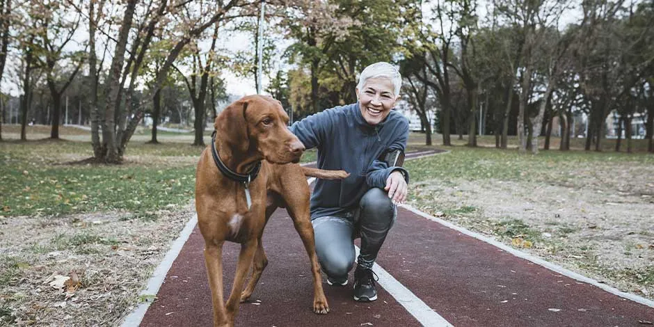 Perro en compañía de su tutor haciendo caminata, perfecta para los adultos mayores.