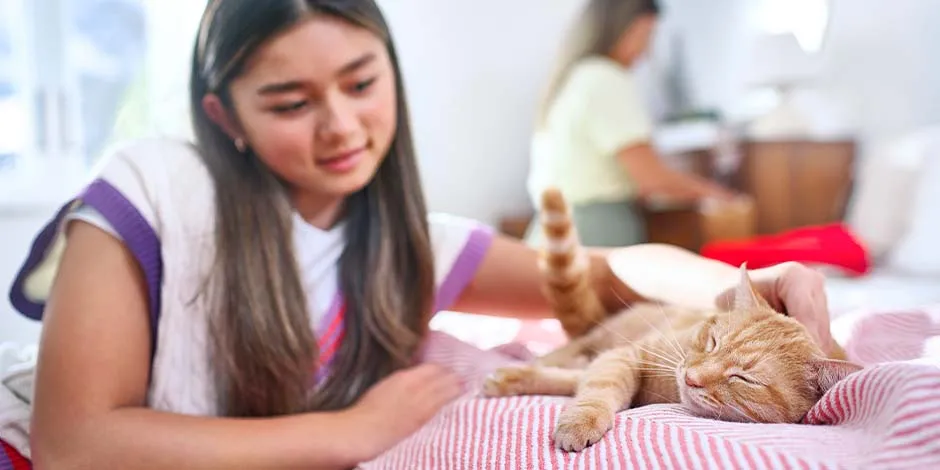 Gatito sobre la cama junto a su tutora. Cuidá la higiene de tus mascotas sin descuidar la de tu hogar.