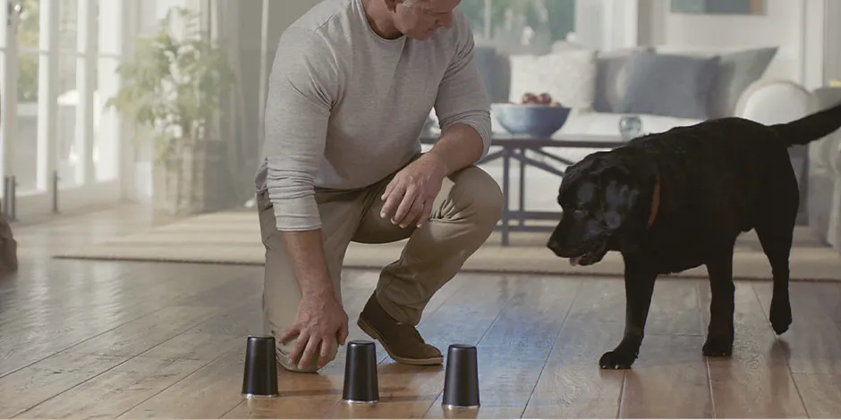 Si pensás “mi perro no quiere comer, ¿qué hago?”, algunos juegos pueden ayudar. Tutor jugando con su mascota.