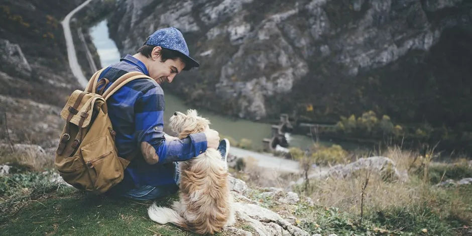 Los perros pueden comer mango y les aporta vitaminas para su bienestar. Perro de aventura con su tutor. 