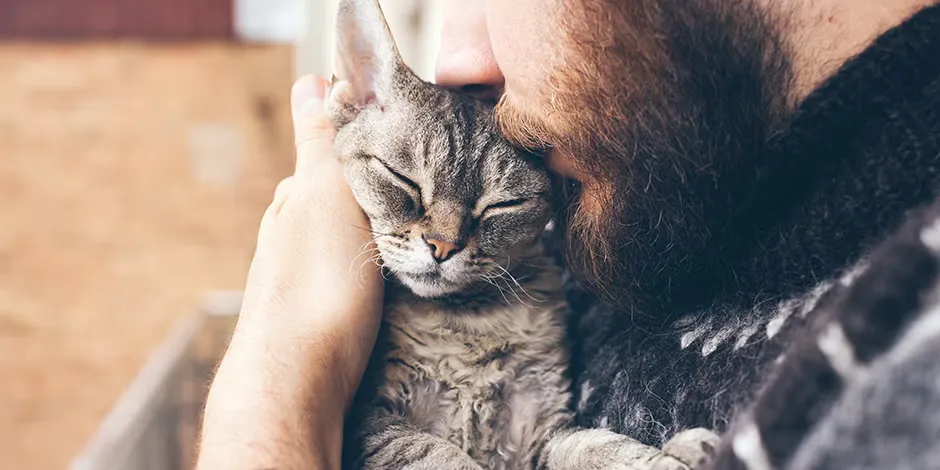 Gatito con los ojos cerrados junto a su tutor. Estos momentos también son premios para los gatos.