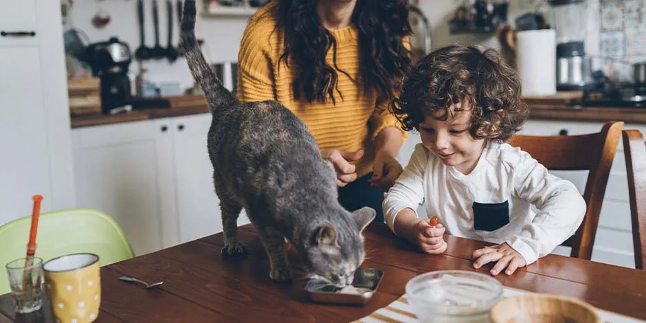 Familia compartiendo con su gato. Una adecuada digestión indica que el sistema digestivo del gato está sano.